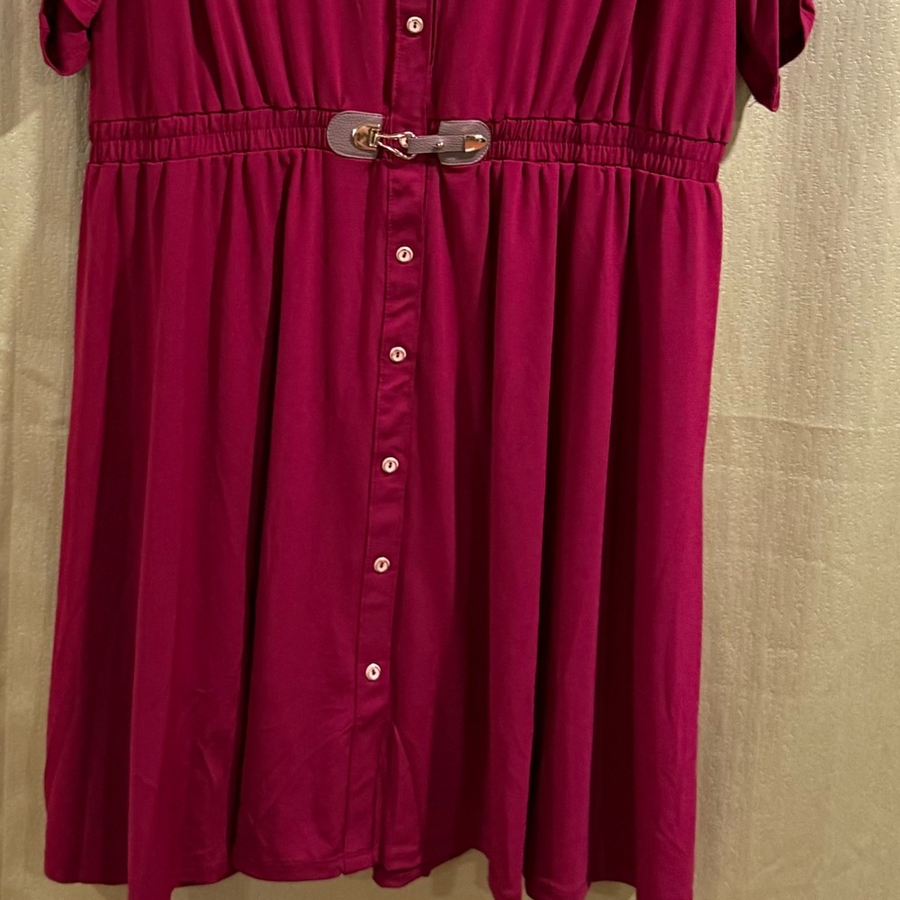 Forever 21 Burgundy Button-Down Midi Dress